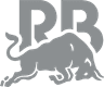 Racing Bulls logo